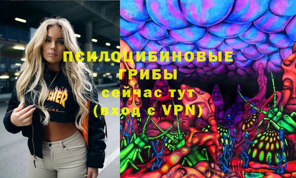 mdpv Армянск