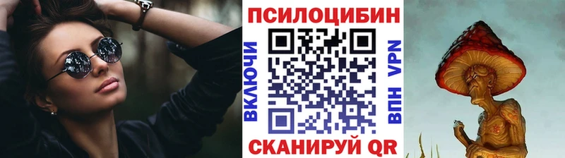 магазин продажи Теберда Псилоцибиновые грибы Psilocybe